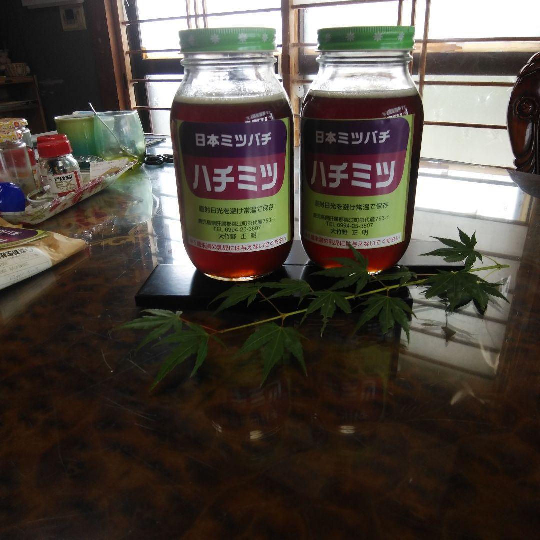 日本ミツバチ ハチミツ 2本セット