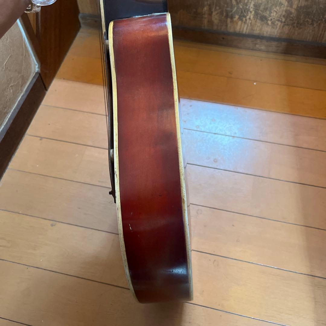 マンドリン　USA