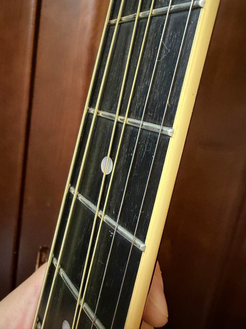 Stringphonic LeRoy Oval ストリングフォニック