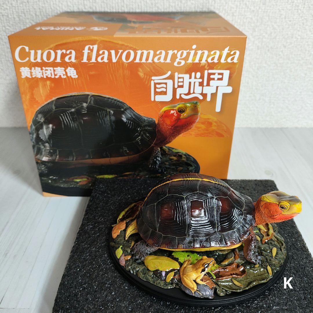 【動物の惑星】★セマルハコガメ★写実シリーズ.自然界第4弾!! フィギュア