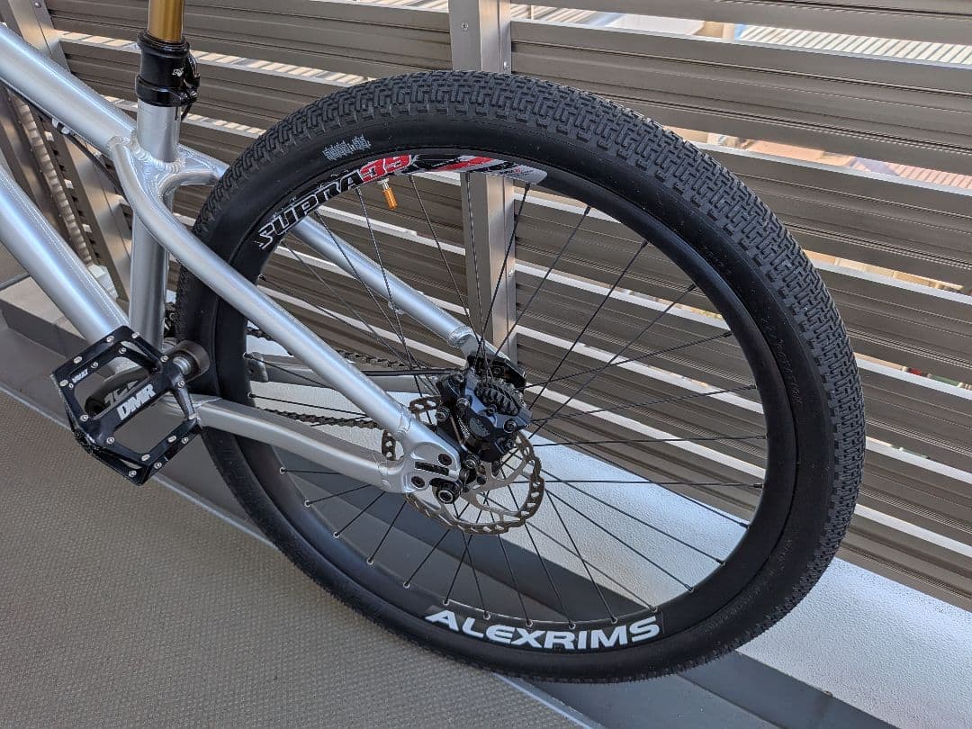 Santa Cruz Jackal　ジャッカル　2020シルバー