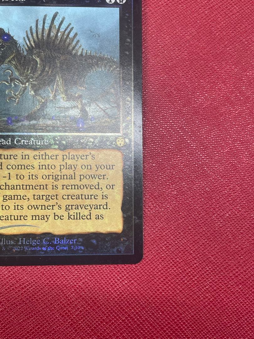 動く死体/Animate Dead ジャッジ褒賞