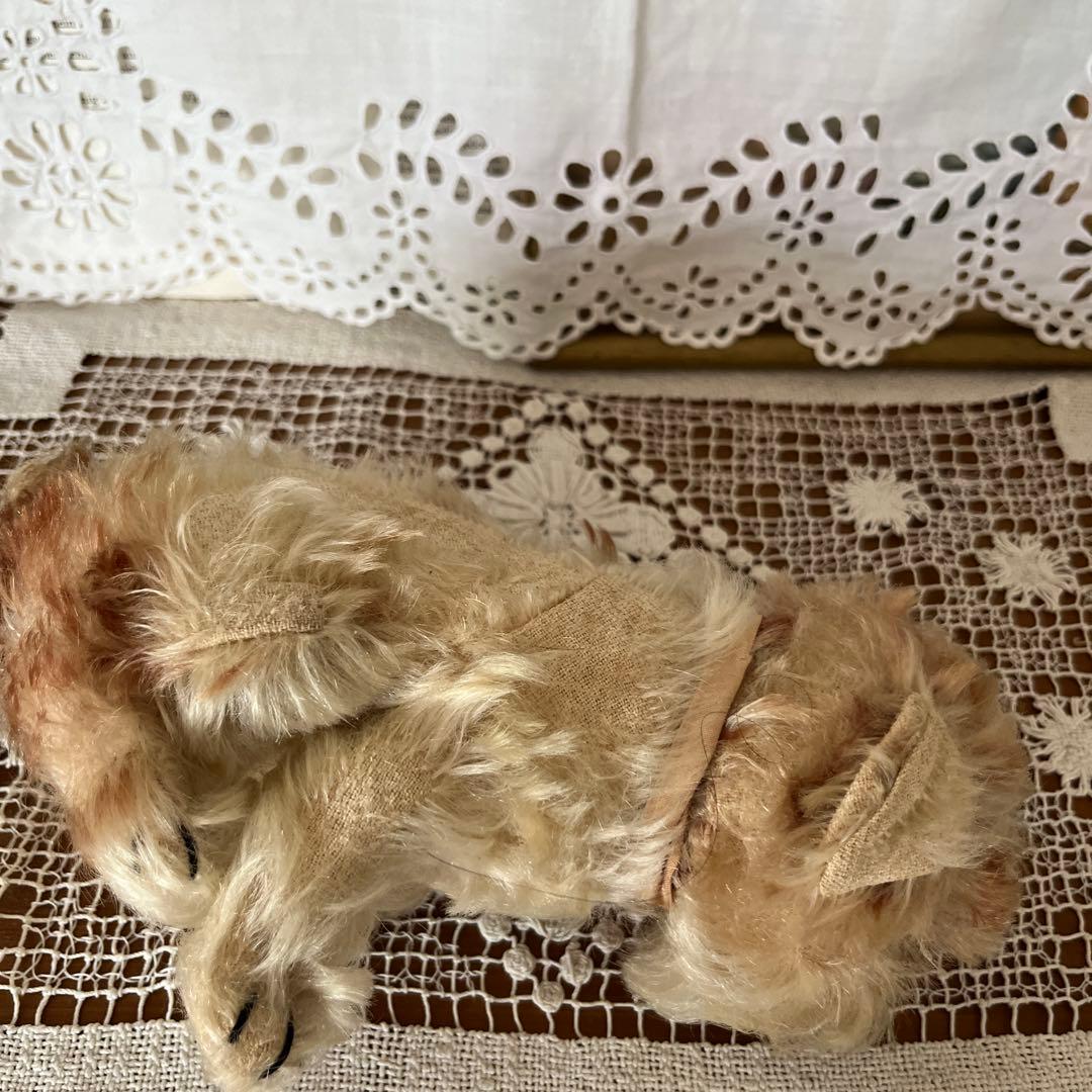 シュタイフ　犬のぬいぐるみ　Molly Puppy Steiff タグボタン有