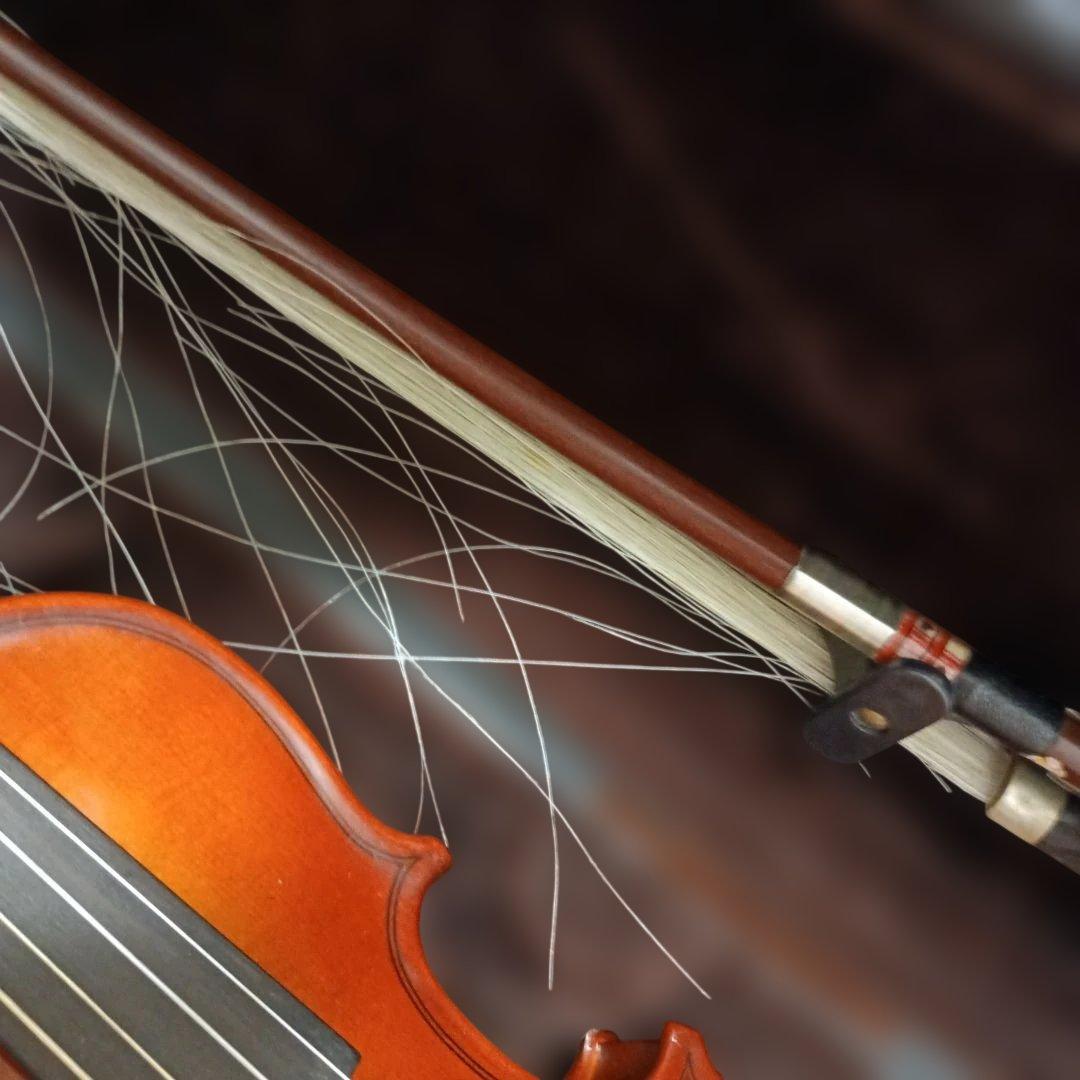 カルロジョルダーノ　バイオリン　1/16