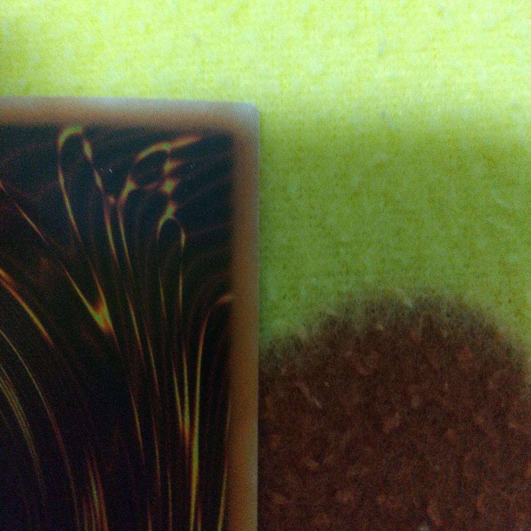 青眼の白龍ホロパラ