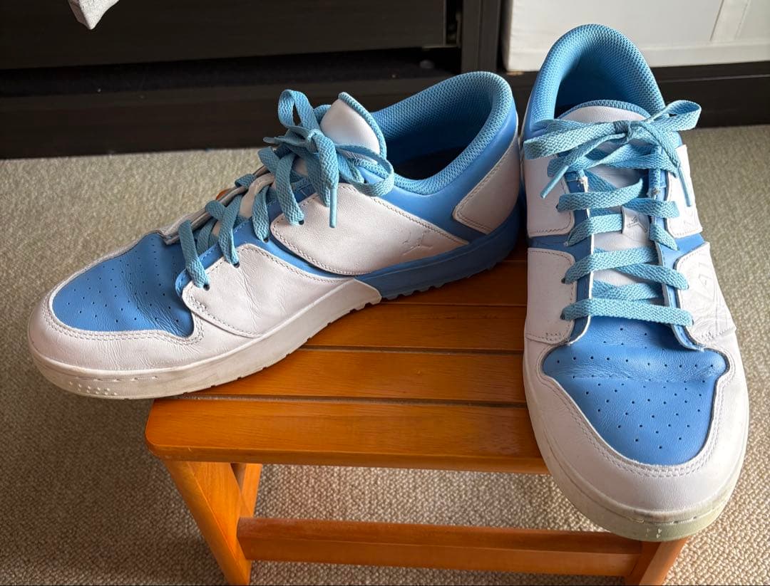 ジョーダン NU レトロ 1 G 28.5cm