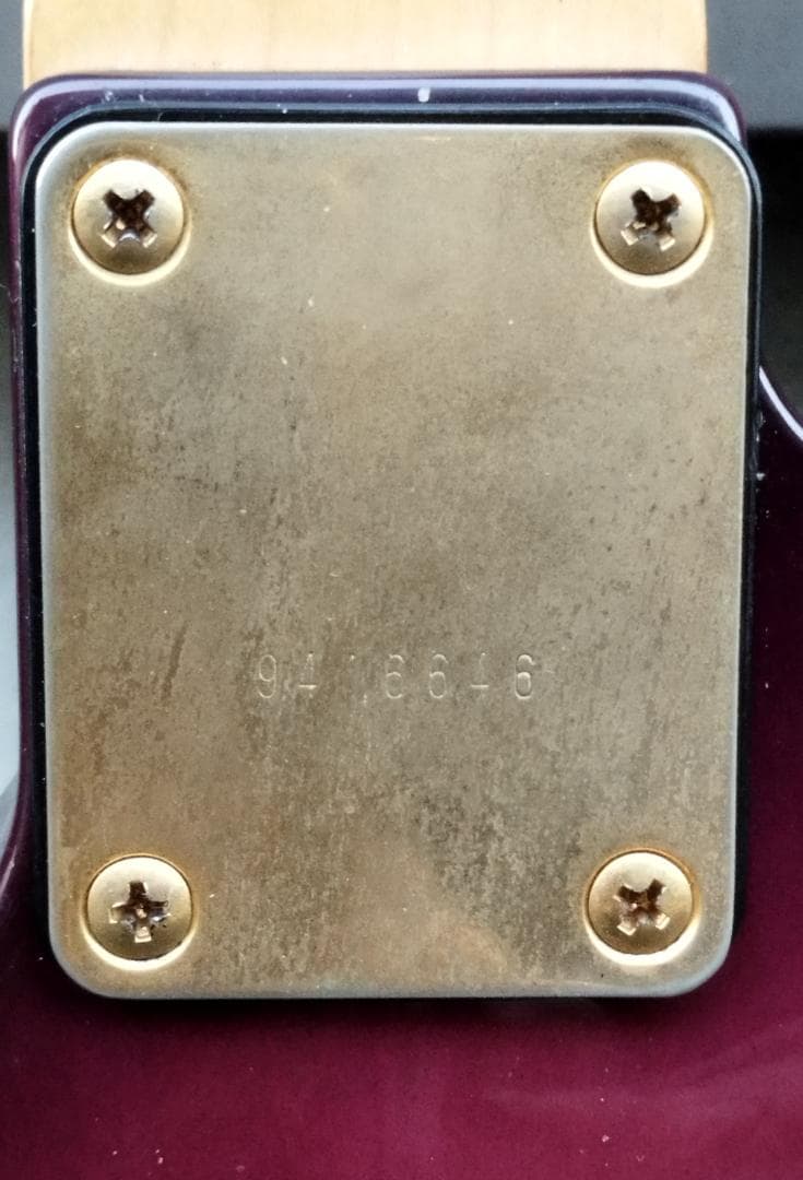 Guitar Synth仕様 C by J Roland GK-3＆GR-55