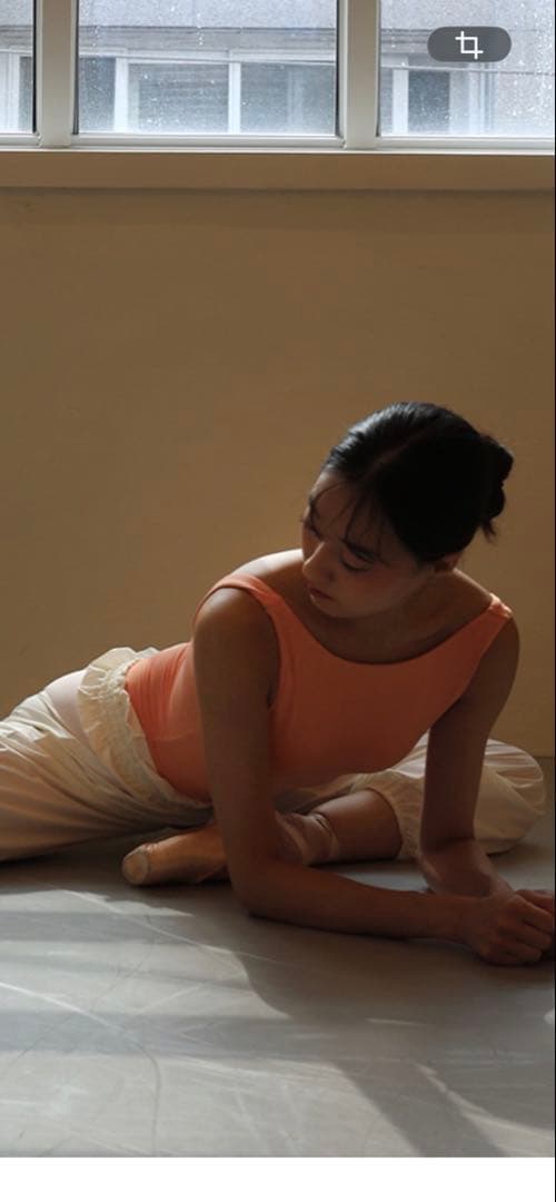 レヴダンス　レオタード　リバーシブル　Lサイズ