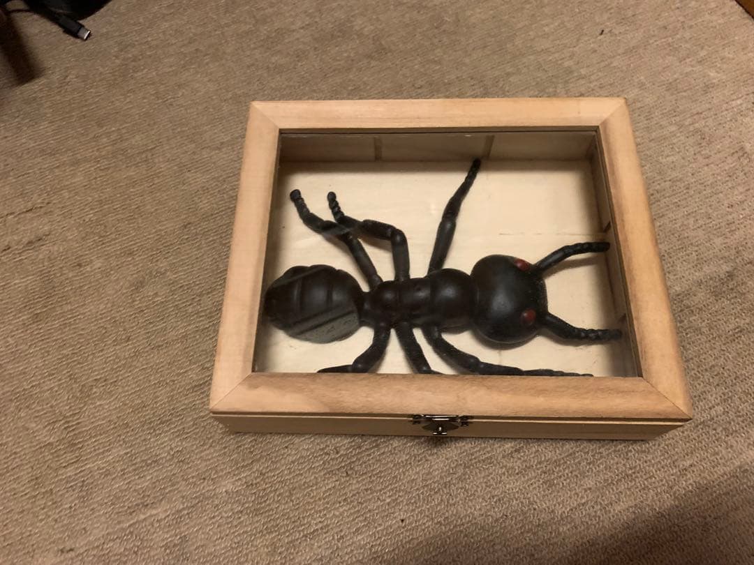 呪物？　ホーンテッドアイテム。