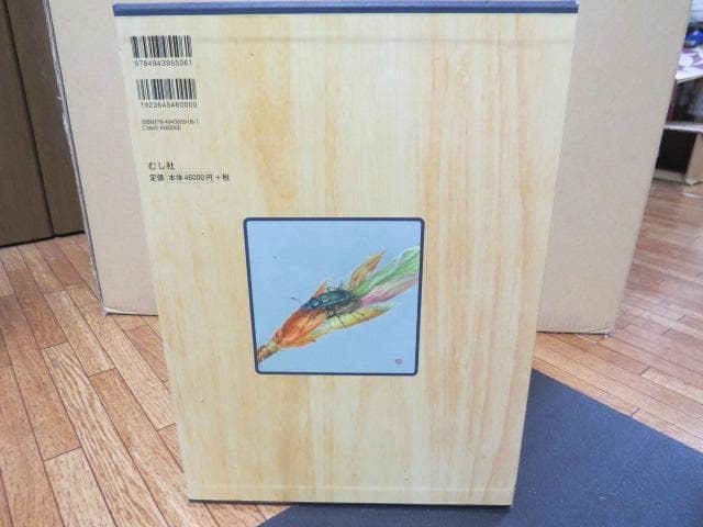 世界のクワガタ虫大図鑑　最終！！むし社　ビークワ　クワガタ