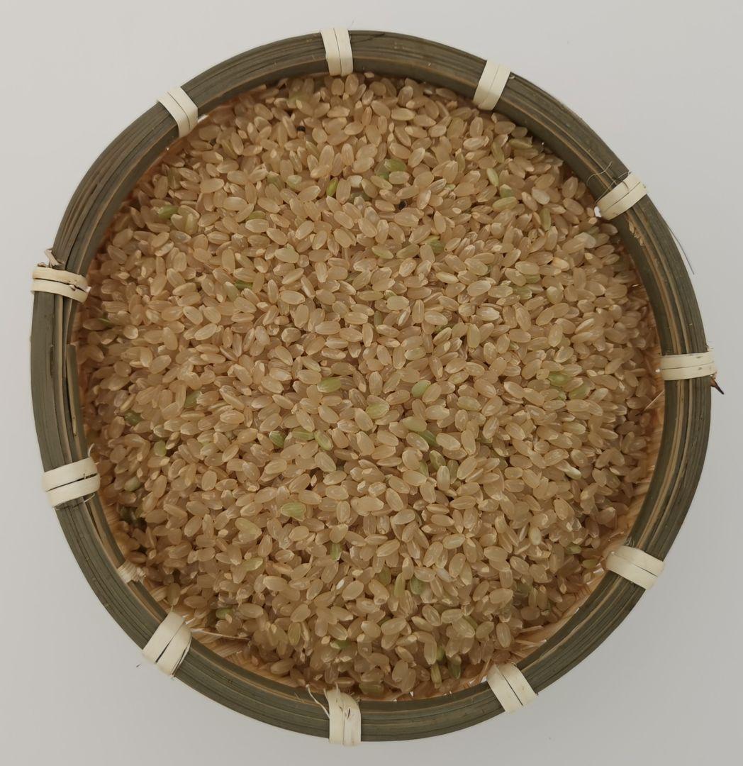 無農薬【令和7年 新米】ひとめぼれ 自然栽培米 宮城県 20kg 玄米 2025