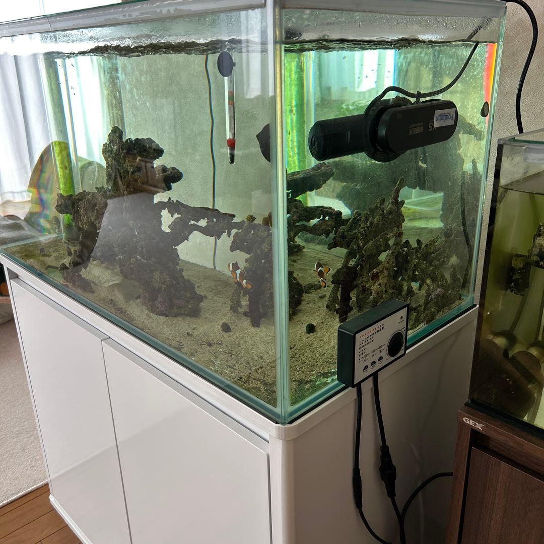 海水魚　オーバーフロー水槽一式　引き取り限定