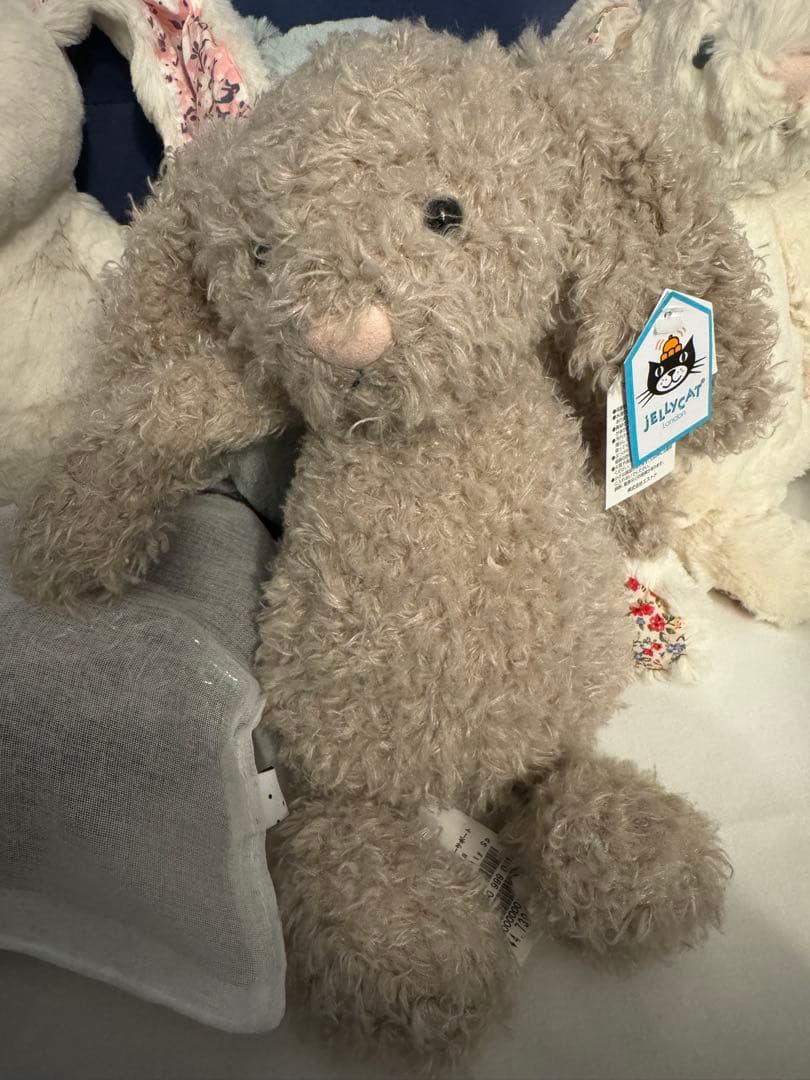  ジェリーキャット Mサイズ JCBAS3CUR