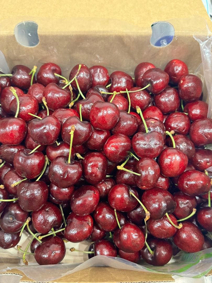 チリ産 チェリー　3JD 2.5kg