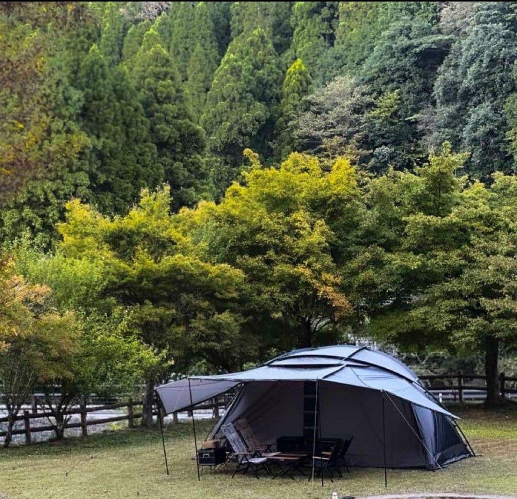 〈週末セール〉【新品・未開封】 ラーテルワークスVOGEL（ヴォーゲル）