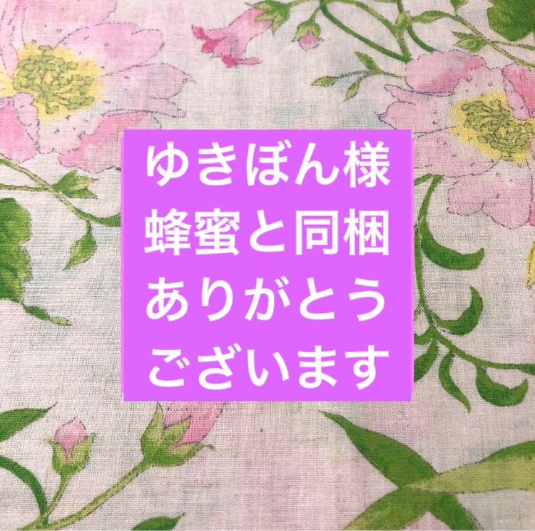 5月11日正規代理店から購入✨新品未開封　メビウスウォーター正規品２個