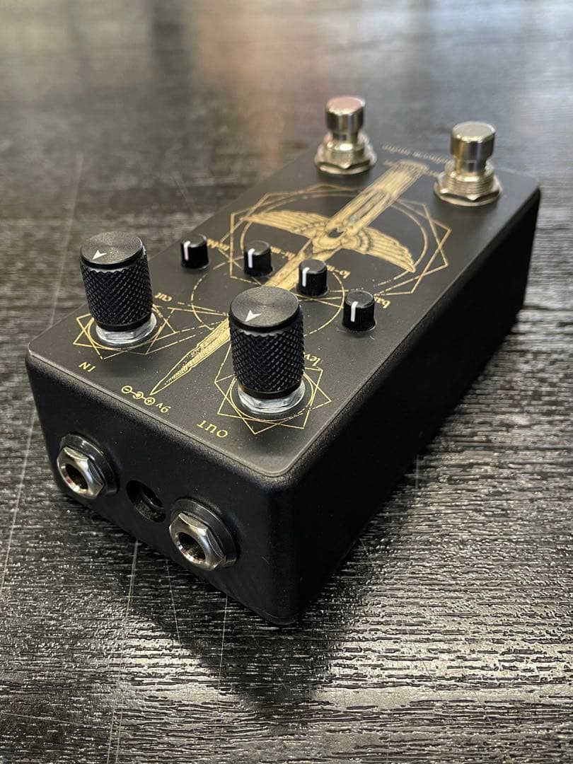 ギター Lichtlaern Audio Aeshaecttr