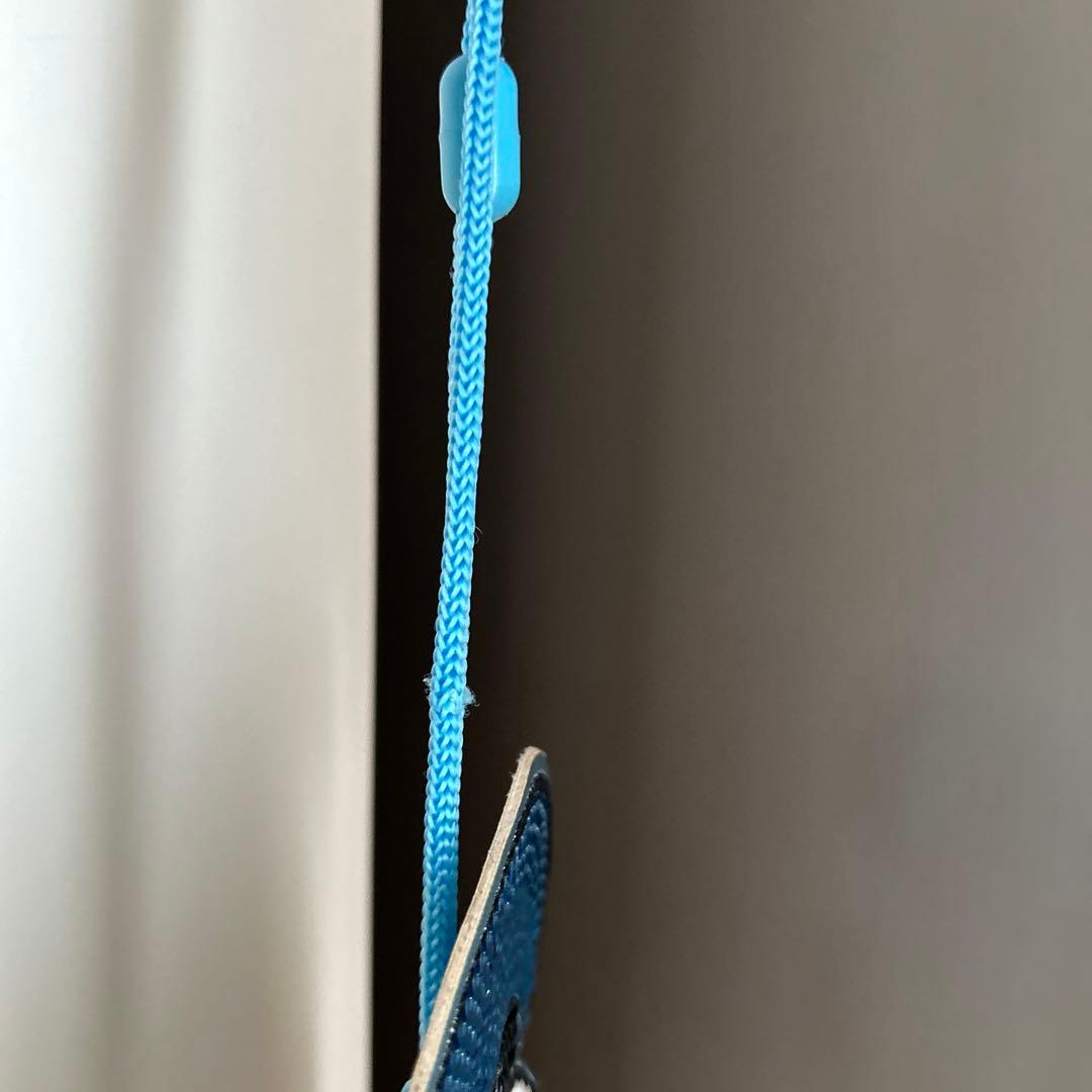 ディズニー Disney ドナルド ケース パスケース ディズニーリゾート