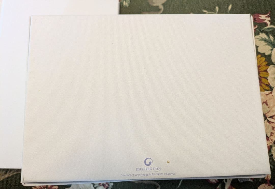 【外箱と画集】殻ノ少女予約特典 Leilian Innocent Grey