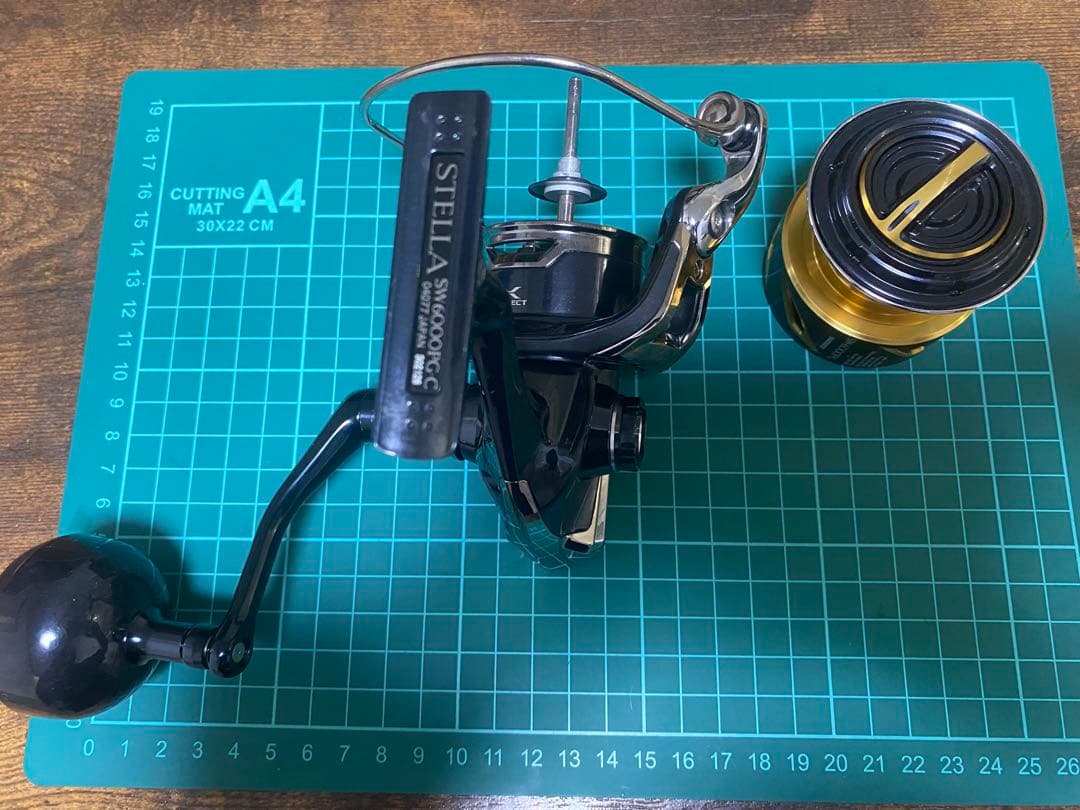 20 ステラ sw 6000pg