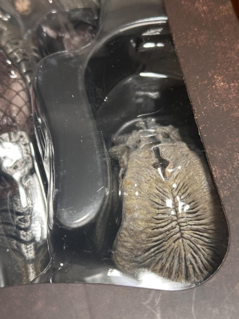 ホットトイズ ムービー・マスターピース ガーディアンプレデター プレデター2