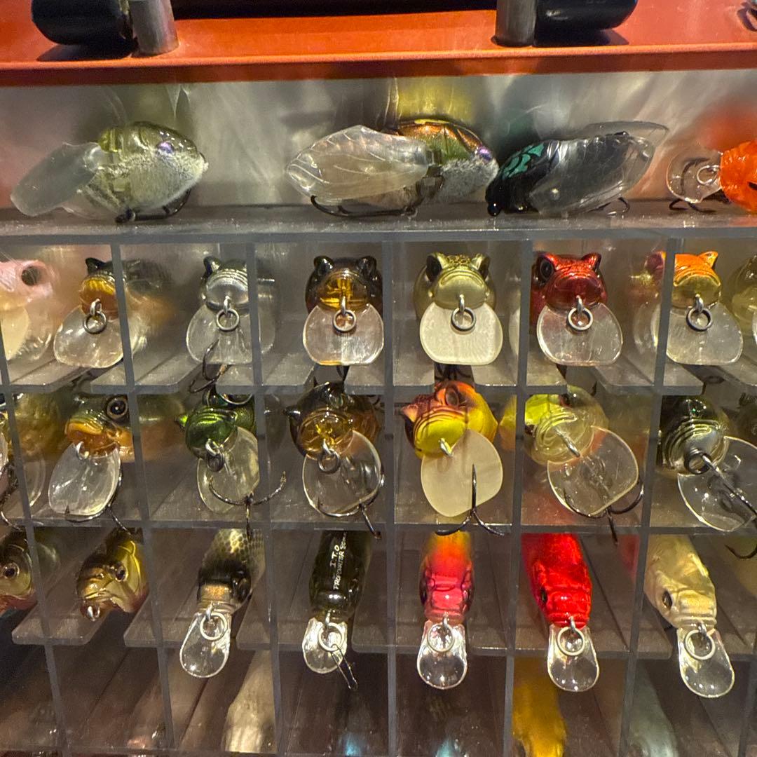 メガバス　アサイラム　ルアー70個