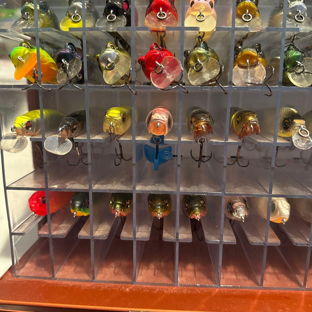 メガバス　アサイラム　ルアー70個