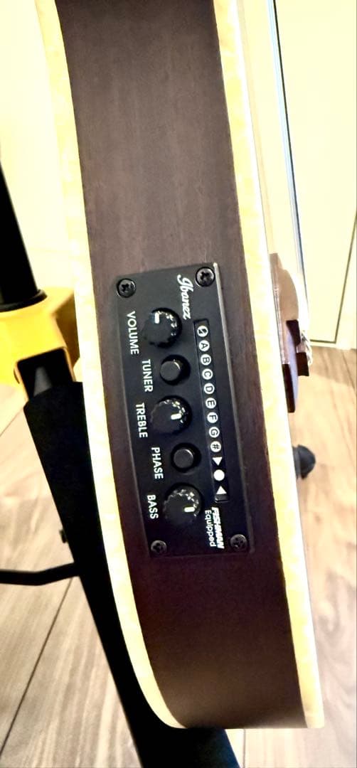 Ibanez TOD10N TKF エレガット Tim Henson