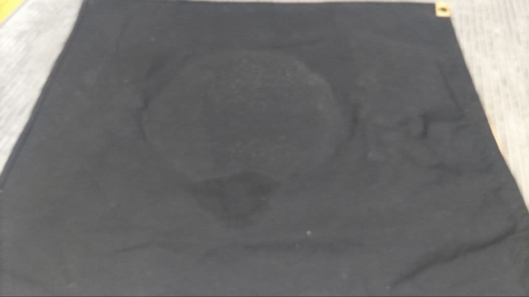 暴走族　保土ケ谷麗心愚　全日本レーシング連盟　ヤンキー　旧車