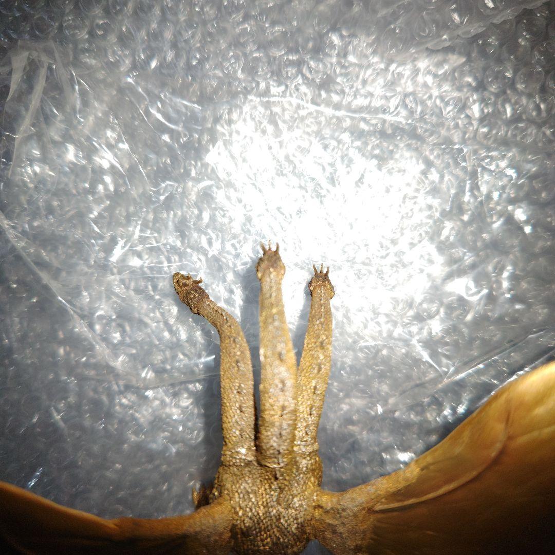 ゴジラ　特撮大百科　怪物0　キングギドラ