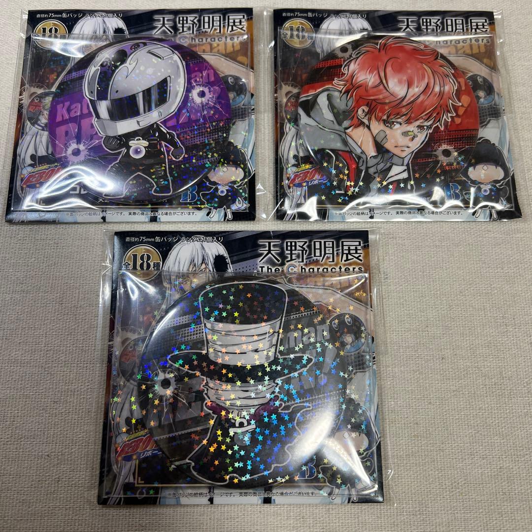 【全キャラコンプ】天野明展 家庭教師ヒットマンREBORN!缶バッジver.B