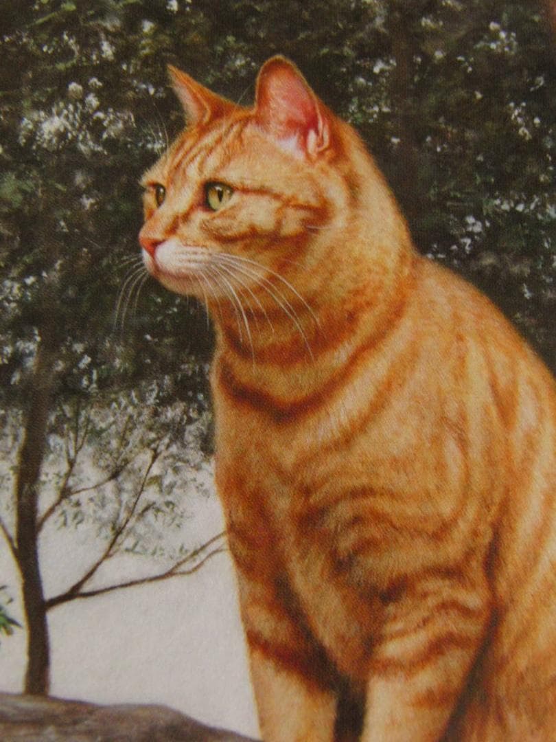 疋田正章、【風声】、希少な額装用画集より、厳選、新品額装、マット額装付、状態良好