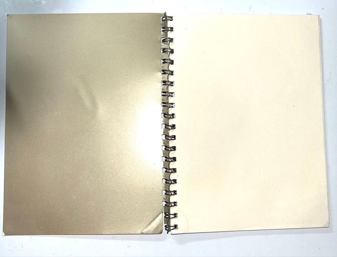 【ビンテージ】シャネル顧客限定配布品NOTES DE VOYAGE CHANEL