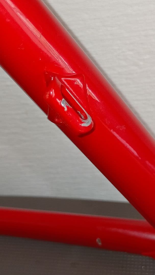 エクタープロトン フレームセット