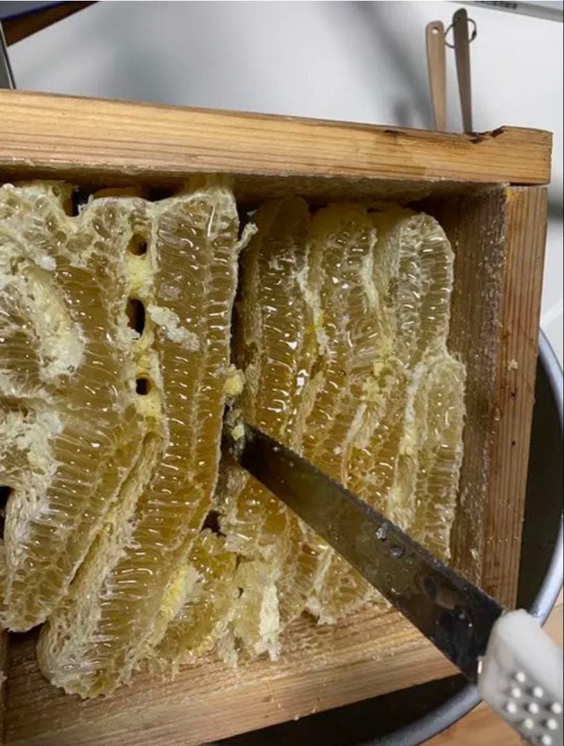 生ハチミツ非加熱　本物幻の純粋日本ミツバチはちみつ国産百花蜜　高級　無添加無加工