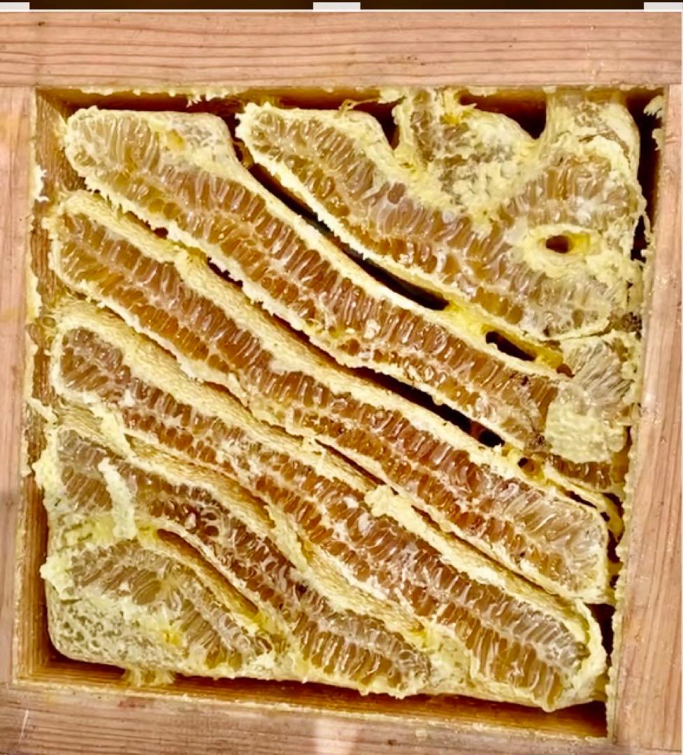 生ハチミツ非加熱　本物幻の純粋日本ミツバチはちみつ国産百花蜜　高級　無添加無加工