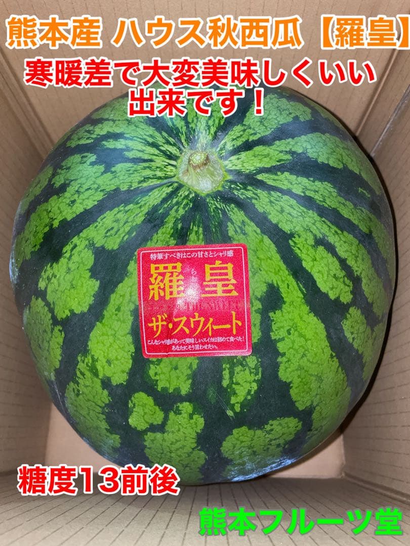 甘くて最高！熊本産秋西瓜 羅皇 2Lサイズ2玉セット(15-17k箱込)