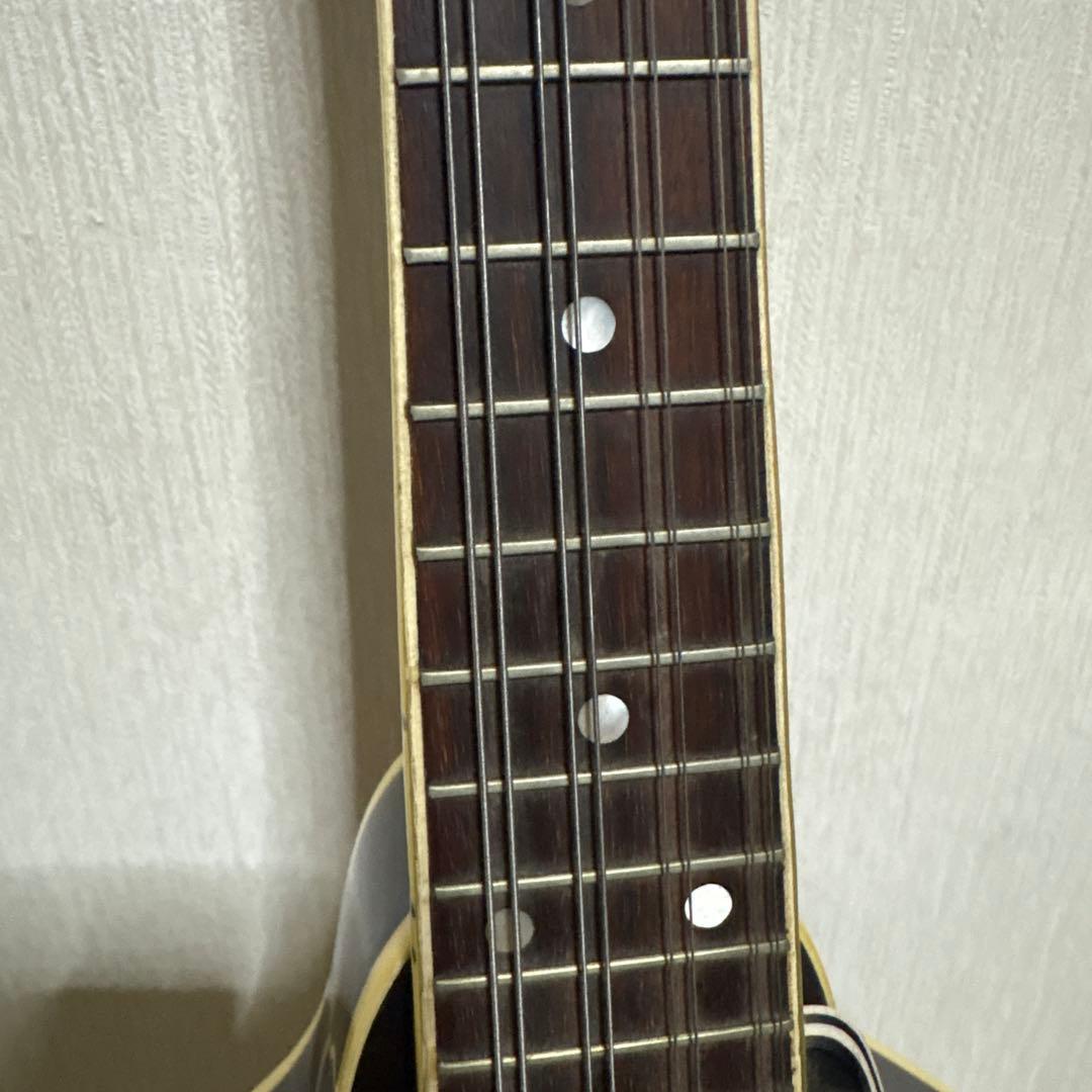 BlueBell ブルーベル フラット マンドリン ビンテージ　ギター　楽器