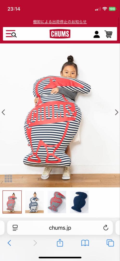 CHUMS ブービーバードクッション 大きめ　赤　ストライプ