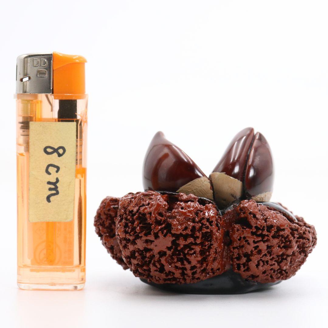 塗師 川岸充雅作 輪島塗乾漆造 栗香合 茶道具 共箱　V977