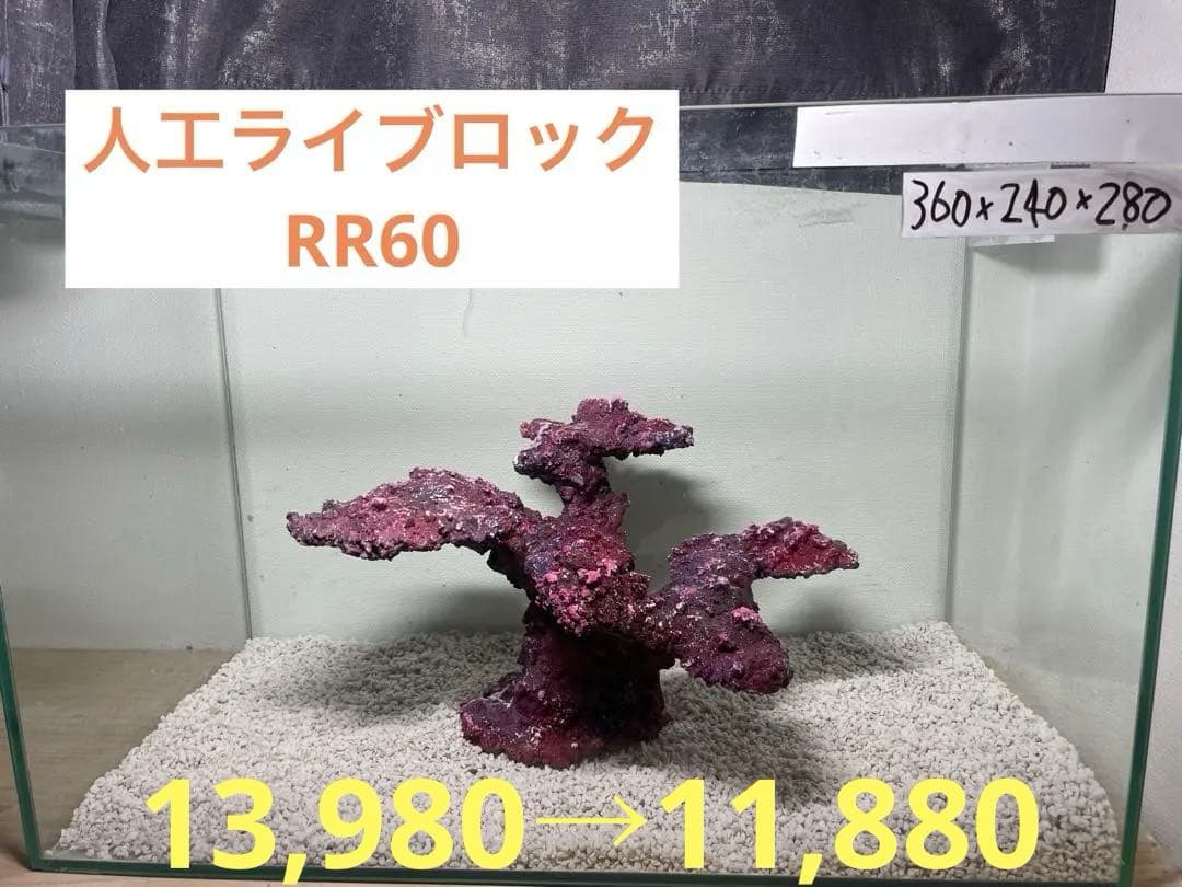 人工ライブロック RR60 アク抜き済み安心塗料使用