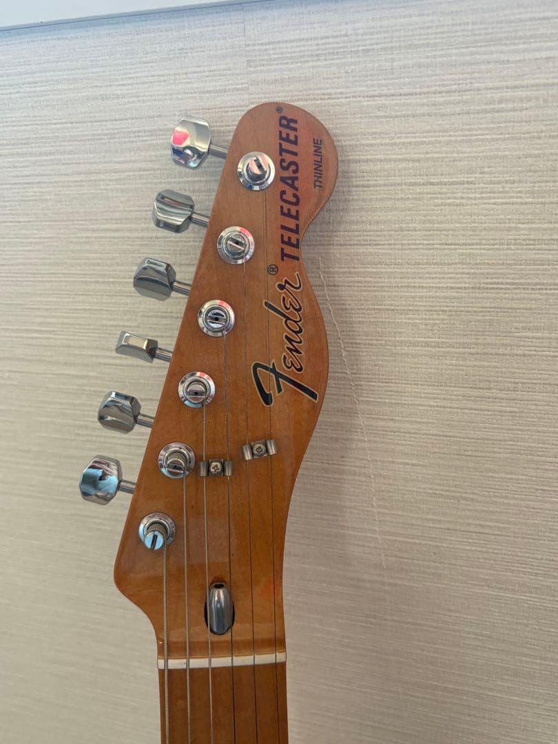 ギター Fender Vintera 70s Telecaster Thinline