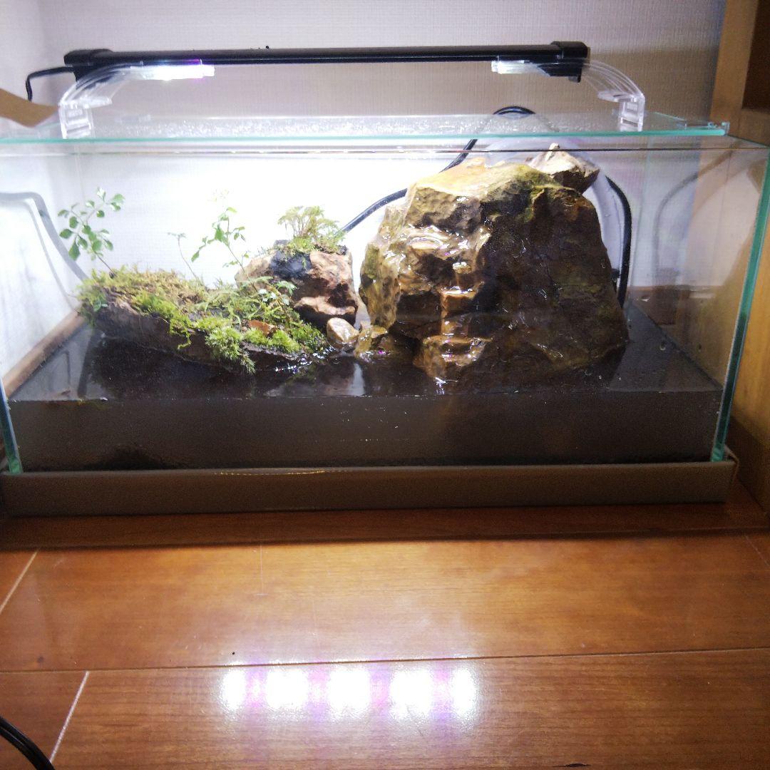 【オーダーメイド】滝のあるアクアテラリウム