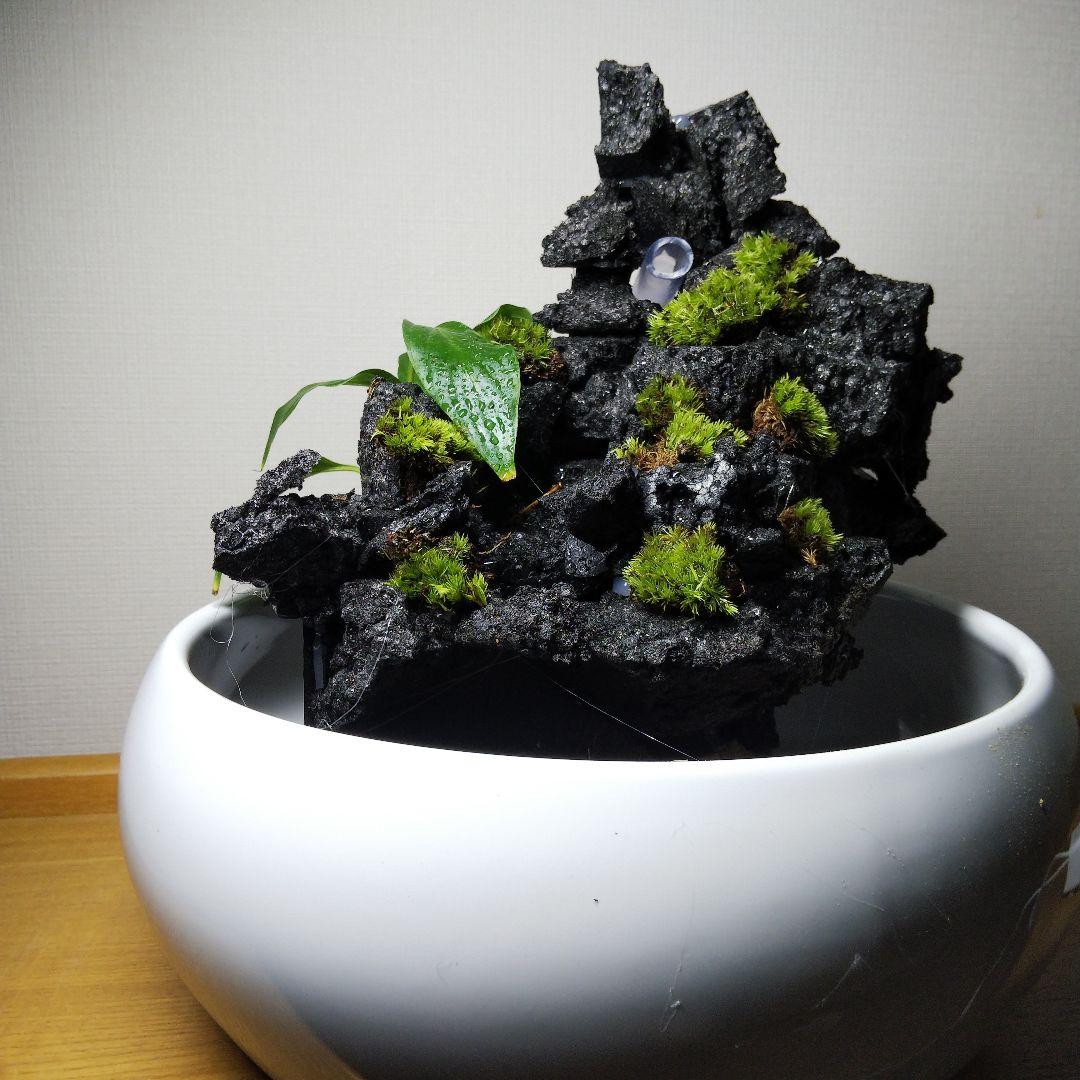 【オーダーメイド】滝のあるアクアテラリウム