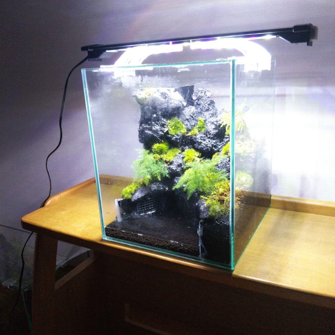 【オーダーメイド】滝のあるアクアテラリウム