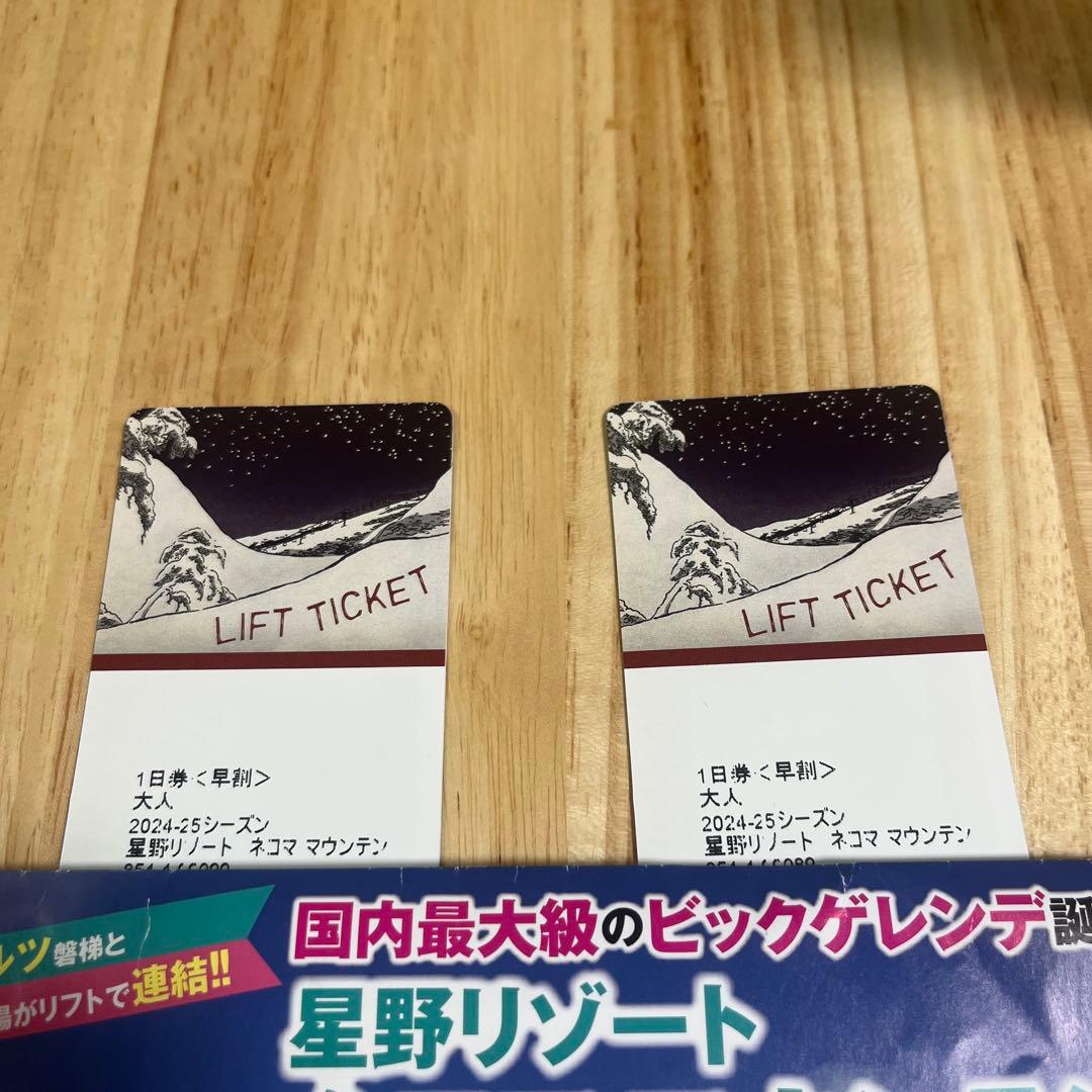ネコママウンテン リフト券 2024-25シーズン　２枚組