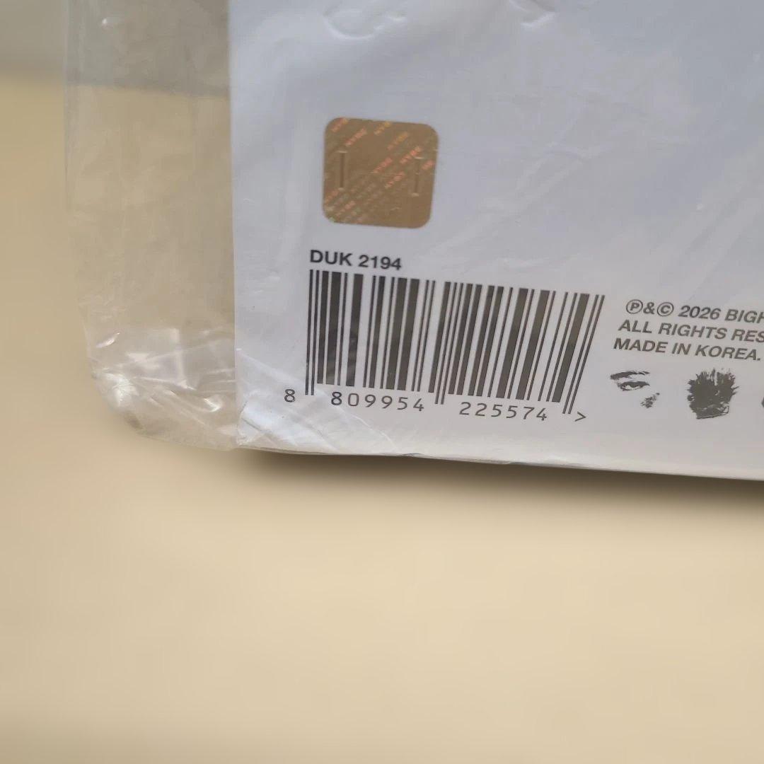 BTS V TYPE非 テテ 韓国 展示会 フォトブック 入場特典 キーホルダー