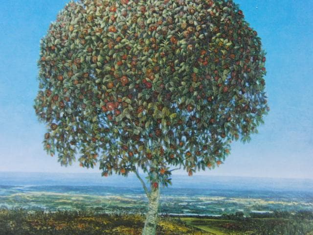 佳月優、丘に咲く花～Ｃ姉妹に捧ぐ、希少な額装用画集より、新品高級額装付