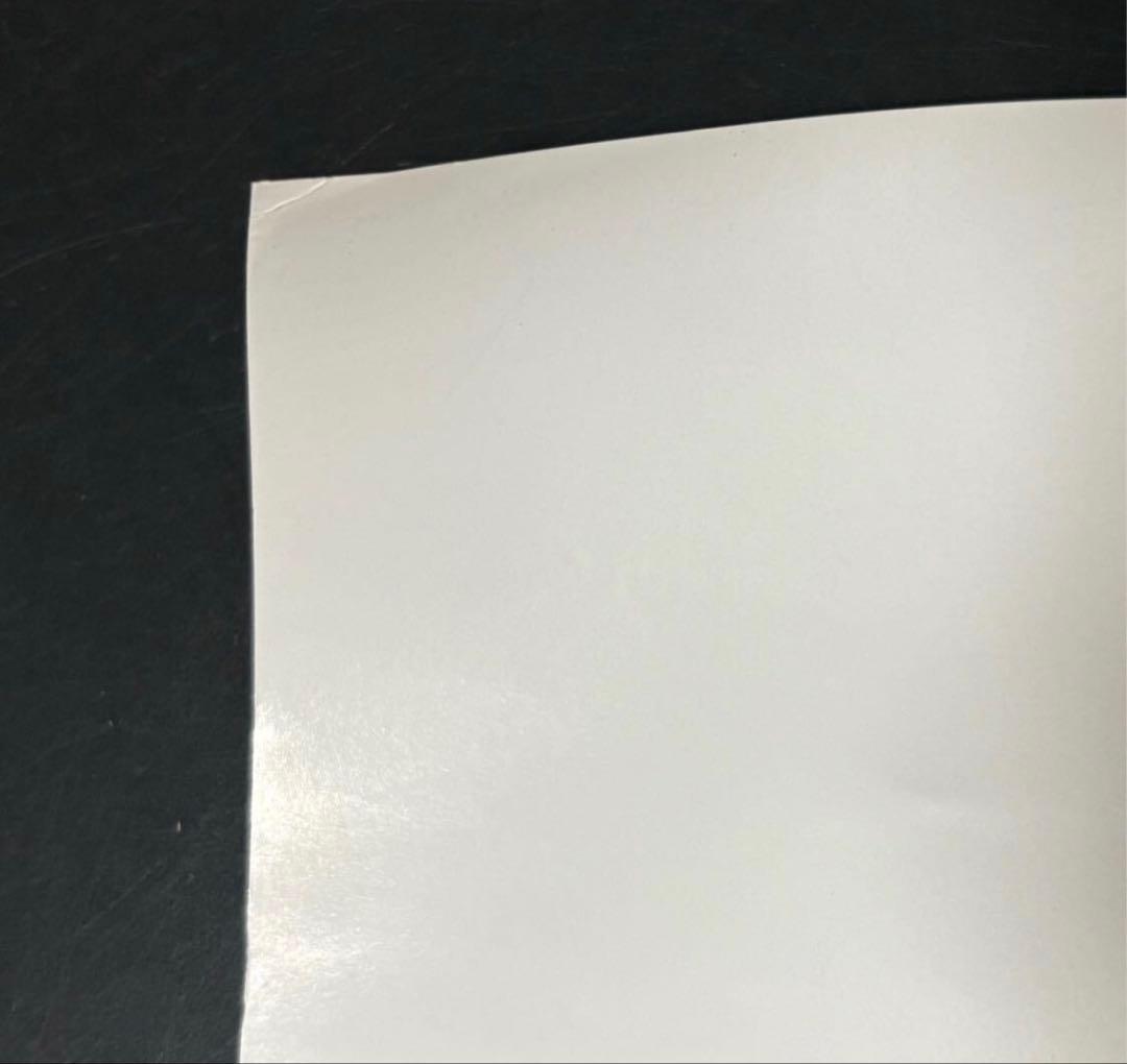 B2 非売品 王菲 Faye Wong 「Separate Ways」 レア