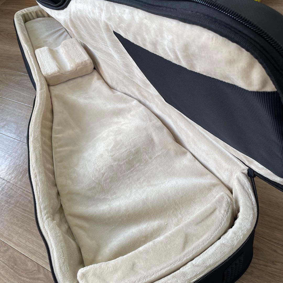 GATOR G-PG BASS 2X ゲイター ベース ギグバッグ 2本用